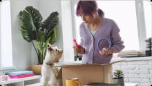 Shop for Pet Essentials in the Marketplace