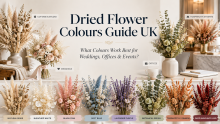 Dried Flower Colours Guide UK: What Colours Work Best for Weddings, Offices & Events?