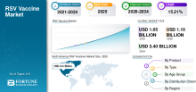 RSV Vaccines, RSV Vaccines Industry, RSV Vaccines Market, RSV Vaccines Market Size, RSV Vaccines Market Share, RSV Vaccines Market Trends, RSV Vaccines Market Growth, RSV Vaccines Market Demand