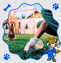 Dog poop pickup in DFW