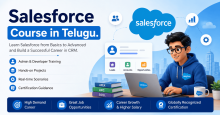 Salesforce Training for Freshers, Salesforce Developer Course, Salesforce Course in Telugu