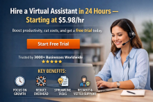 Virtual Assistant (VA)