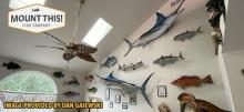 Fish taxidermy