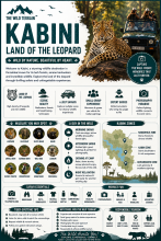 Kabini Wildlife Safari