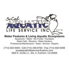 Water Feature and Ponds Services