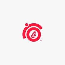 Best SEO Company in India