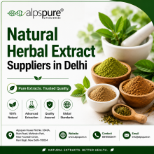 Herbal Extract Supplier in Delhi, Herbal Extract in Delhi