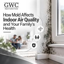Mold remediation Madison