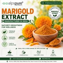 Herbal Extract Manufacturer in India, Herbal Extract Suppliers in India