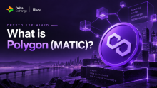 What Is Polygon (MATIC)?