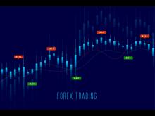Forex Trading Profit Per Day 