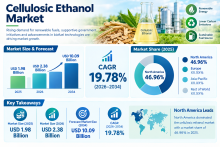 Cellulosic Ethanol Market Size Share Growth and Forecast 2026–2034