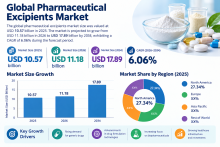 Pharmaceutical Excipients Market Opportunities by Product Type, 2026–2034