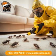 Pest Control Near Me