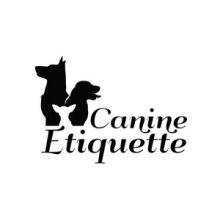Professional Dog Training