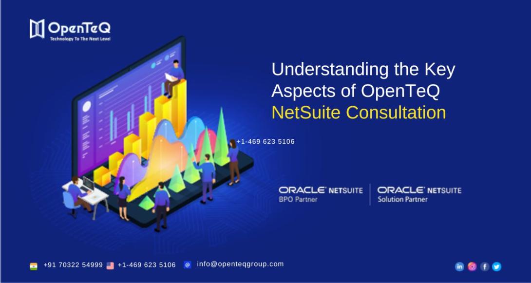 NetSuite Consultation