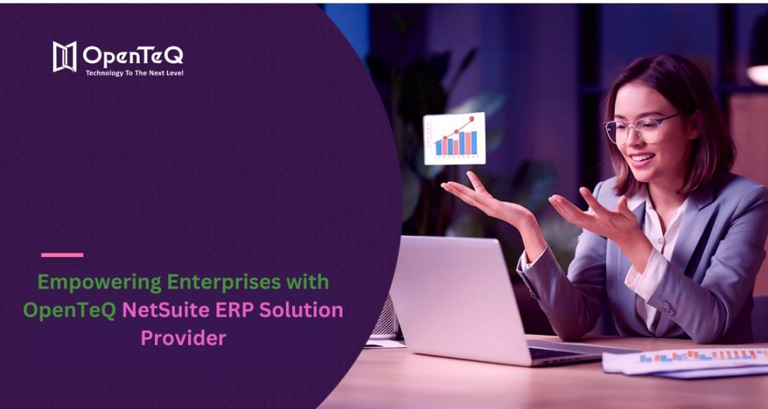 NetSuite ERP Solution Provider