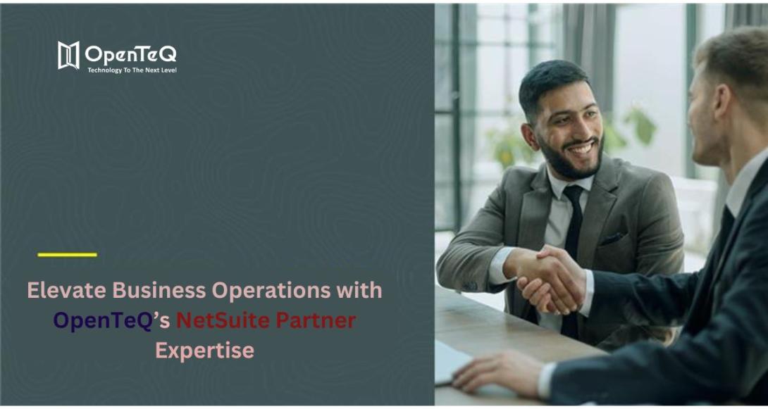 NetSuite Partner