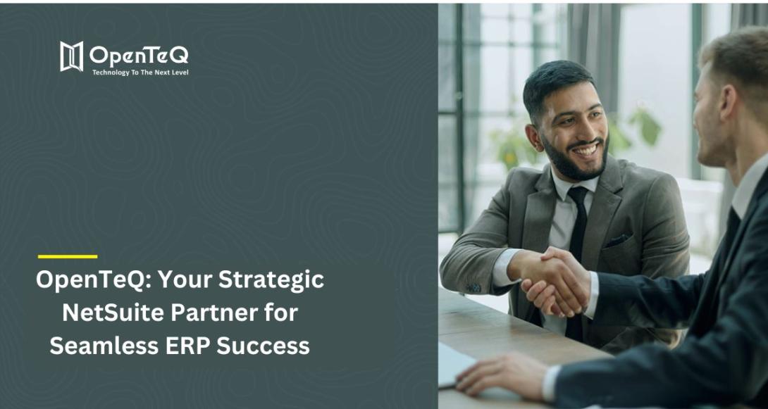 NetSuite Partner