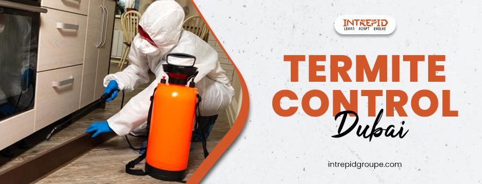 termite and pest control