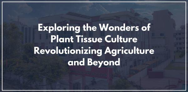 Exploring the Wonders of Plant Tissue Culture: Revolutionizing Agriculture and Beyond