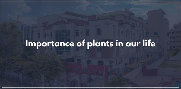 Plants play a crucial and multifaceted role in sustaining life on Earth. Their contributions to human life are immense, encompassing ecological, economic, nutritional, medicinal, and aesthetic aspects. Plants are living organisms that play an important role in our lives. They belong to the Plantae kingdom, as per science. The study of plants and their characteristics is known as Botany. Plants and trees are very important in our lives. Directly or indirectly, plants are connected with our lives, and we both