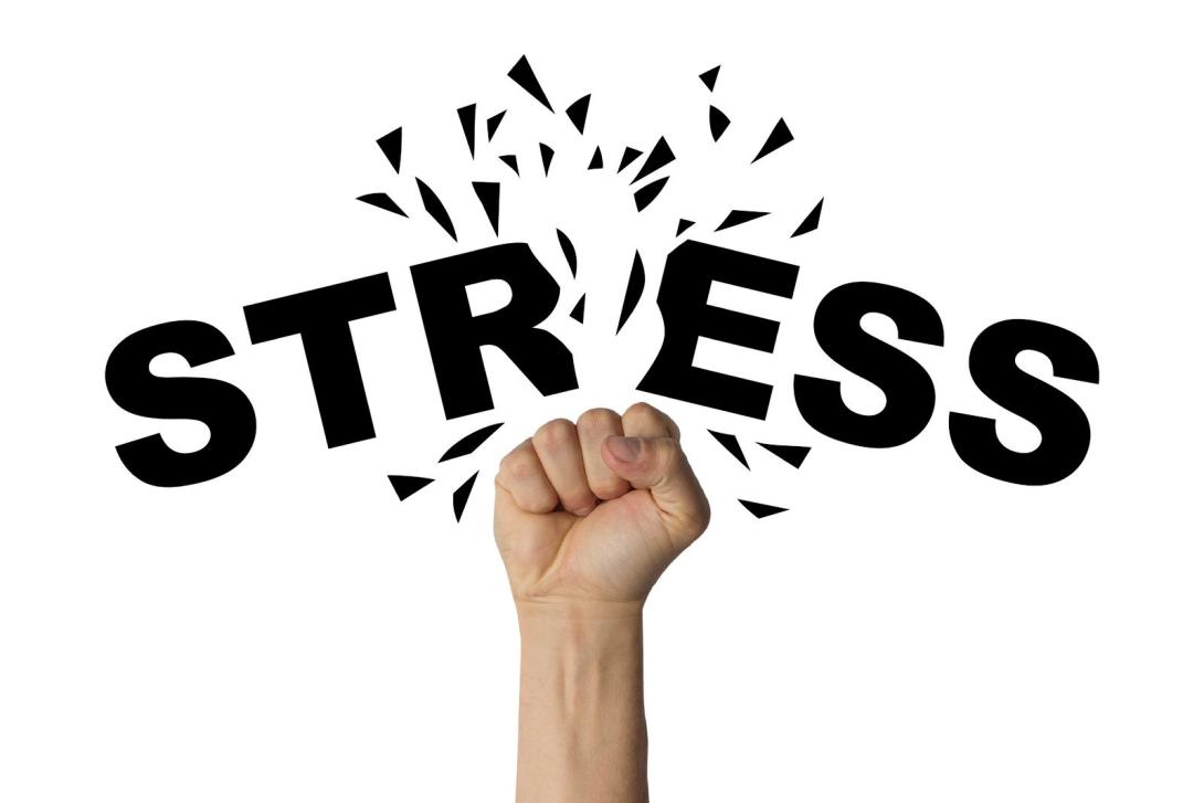 Stress and Addiction