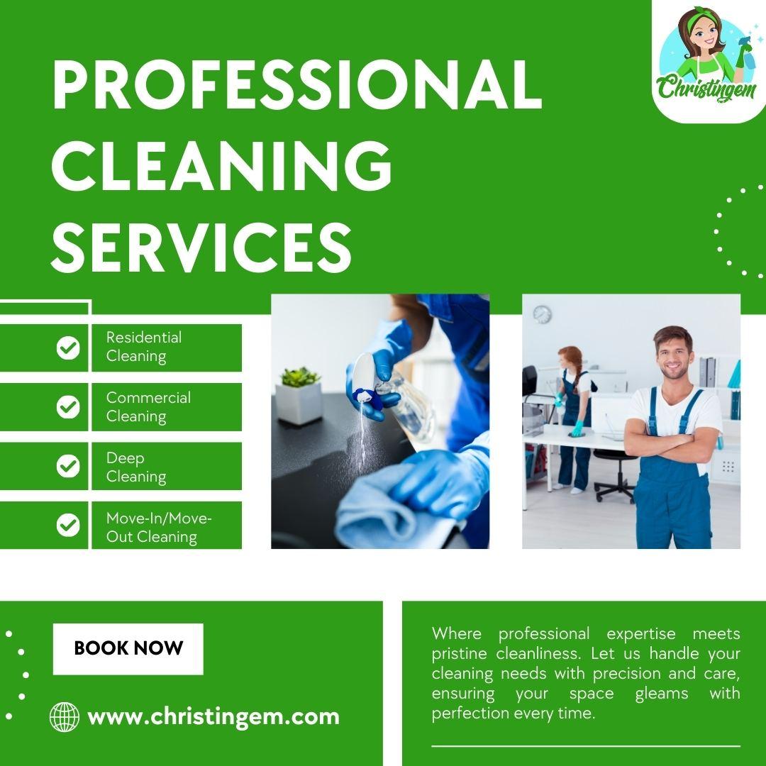 Professional Cleaning Services 