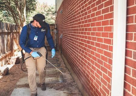 Alta Pest Control 
