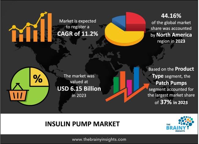 Insulin Pump Industry