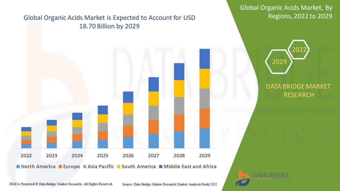 Organic Acids Market 