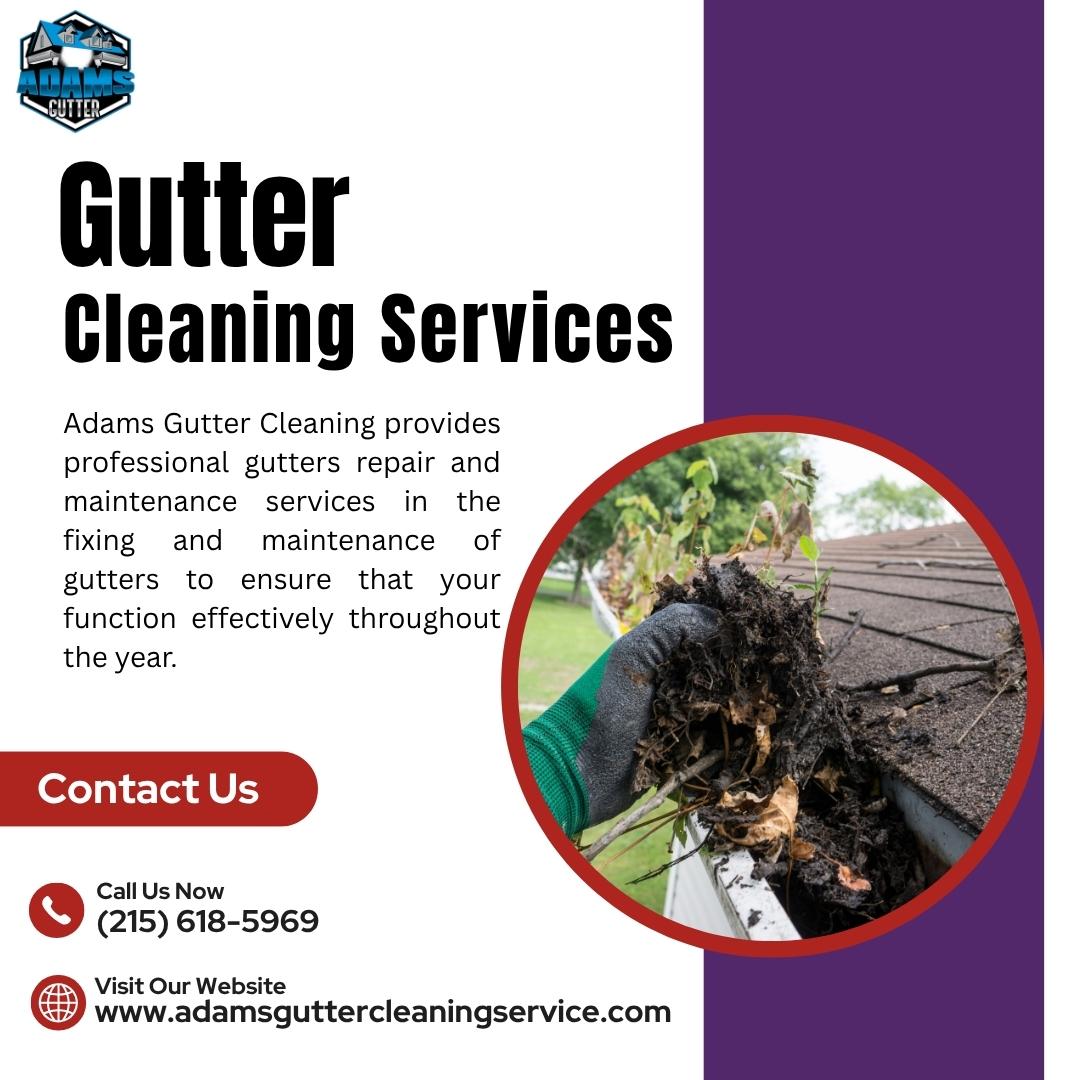 Gutter Cleaning Services