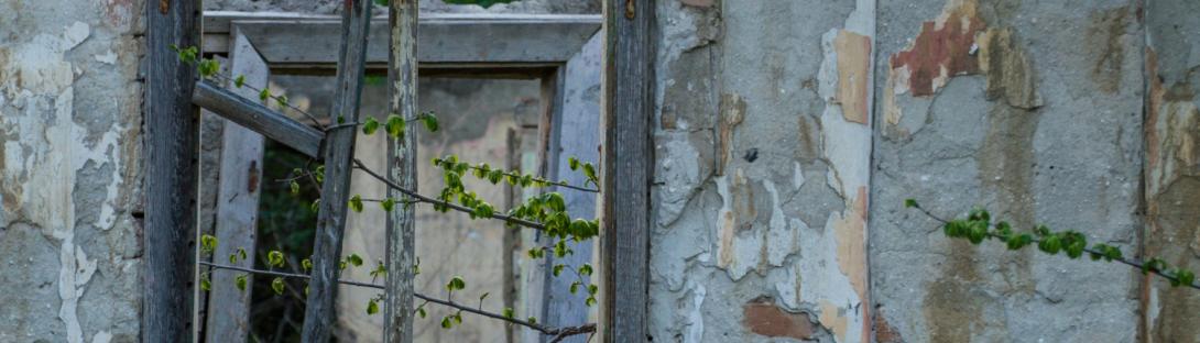 dilapidation inspection