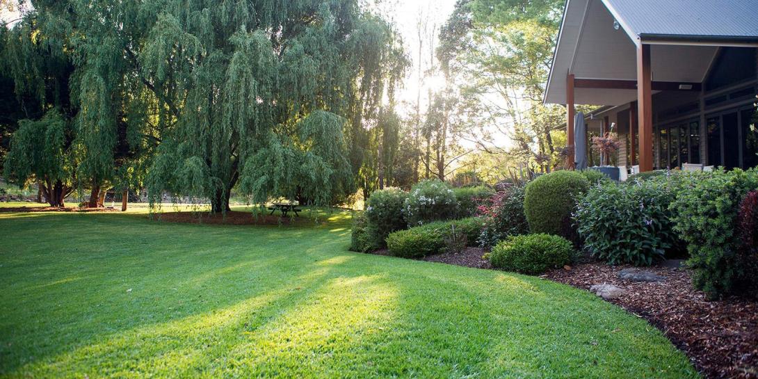 Northern Beaches Garden & Trees