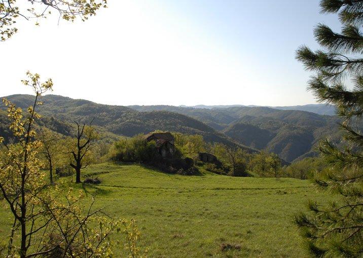 Property in Piemonte