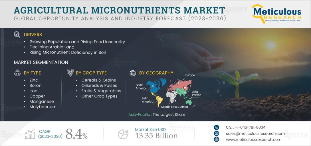 #AgriculturalMicronutrients, #MarketForecast, #CropNutrition, #MicronutrientFertilizers, #ZincSegment, #Nanotechnology, #FoodSecurity, #AsiaPacificMarket, #ContractFarming, #MarketDrivers
