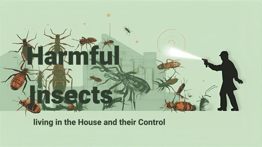 Pest control service