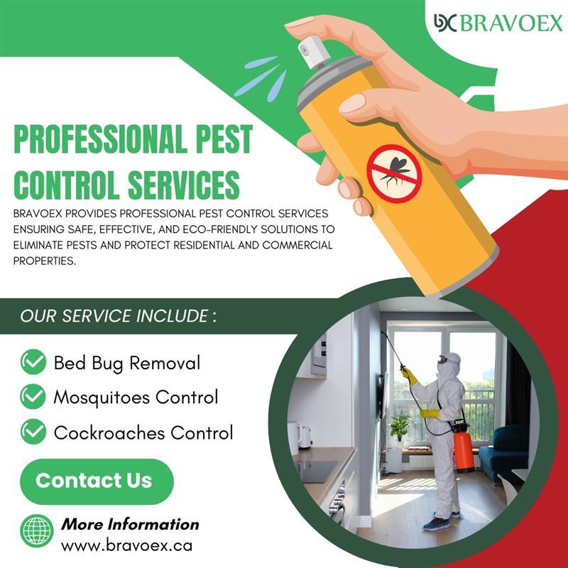 Professional Pest Control Ottawa
