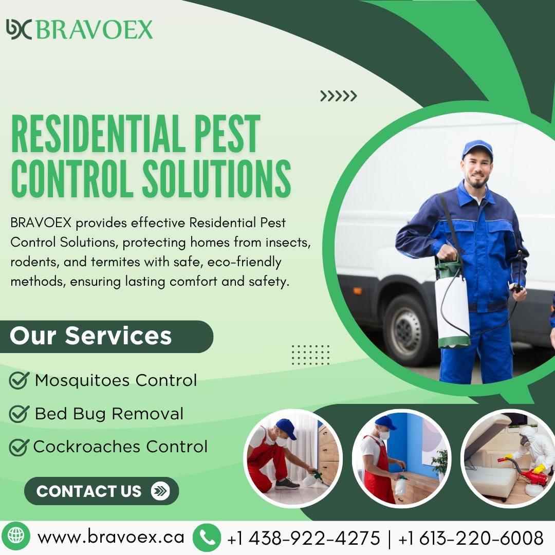Residential Pest Control Ottawa