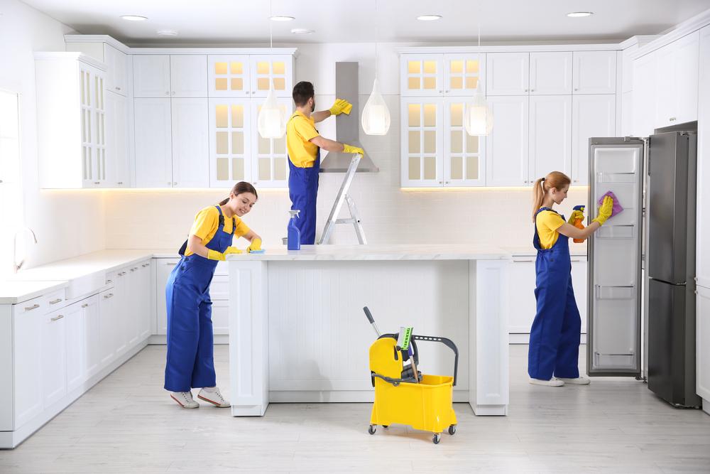 eco cleaning