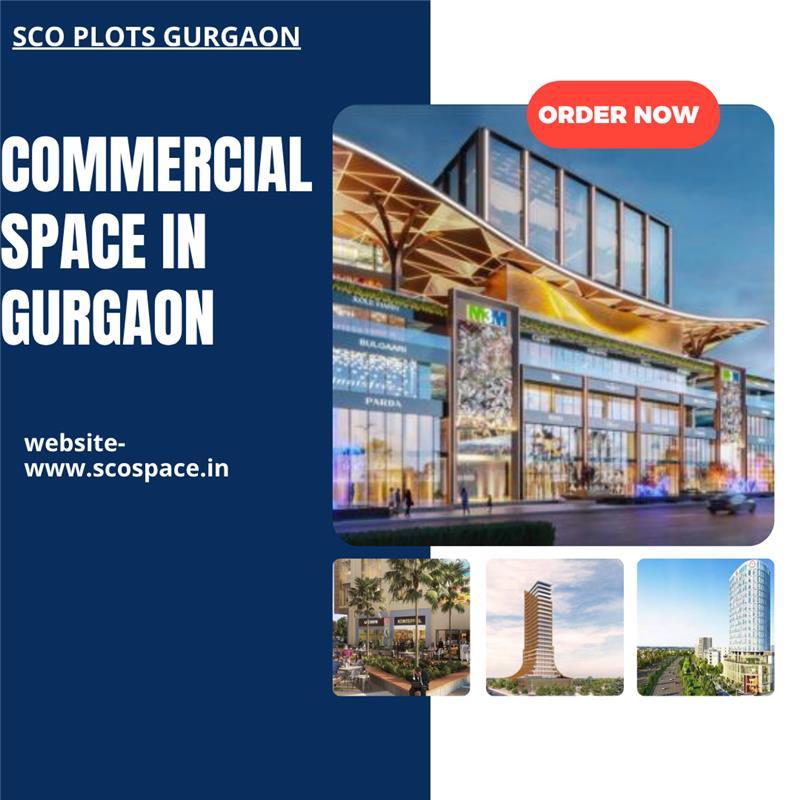 SCO plots Dwarka Expressway