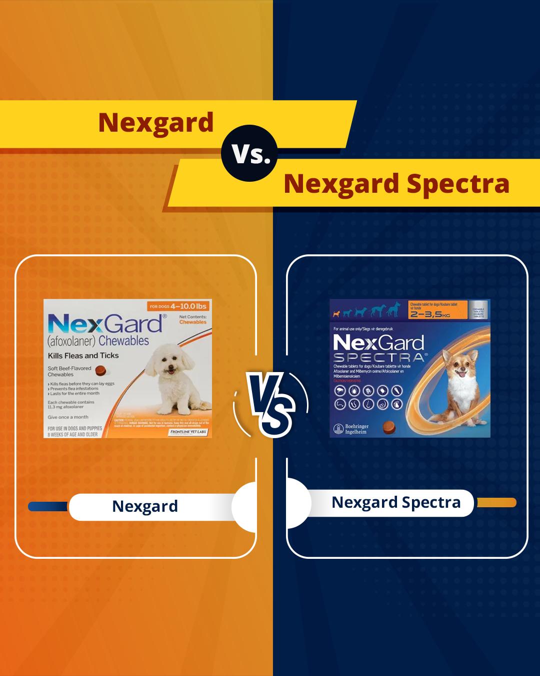 Nexgard vs. Nexgard Spectra - Which Is Best for Your Dog?