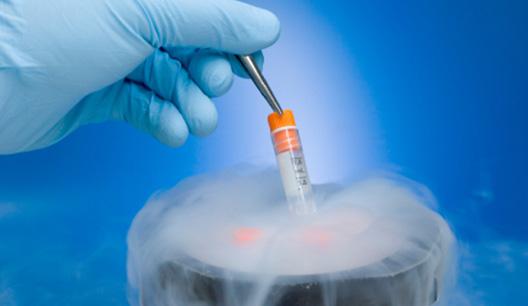 fertility preservation in hyderabad