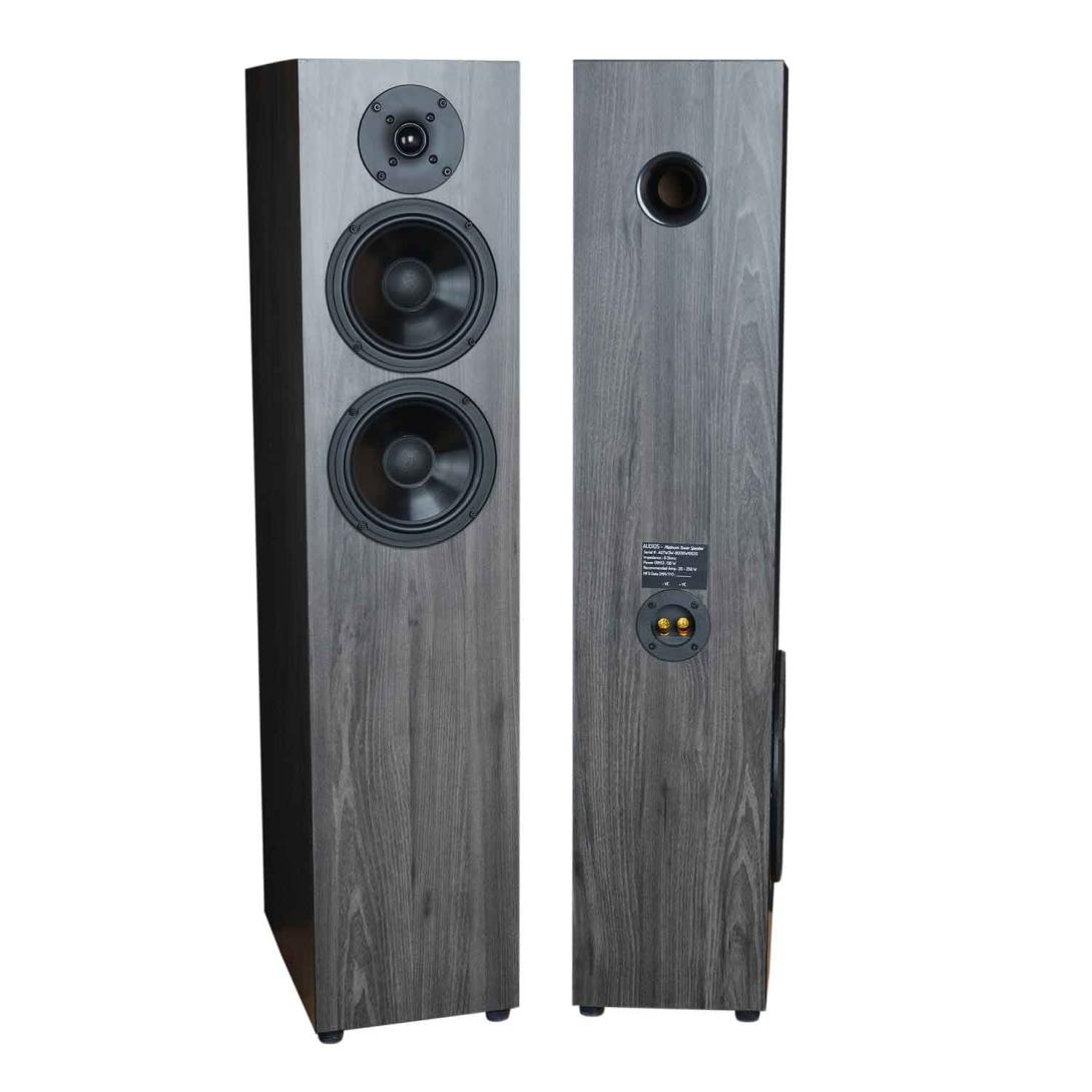 Integrated Stereo Amplifier