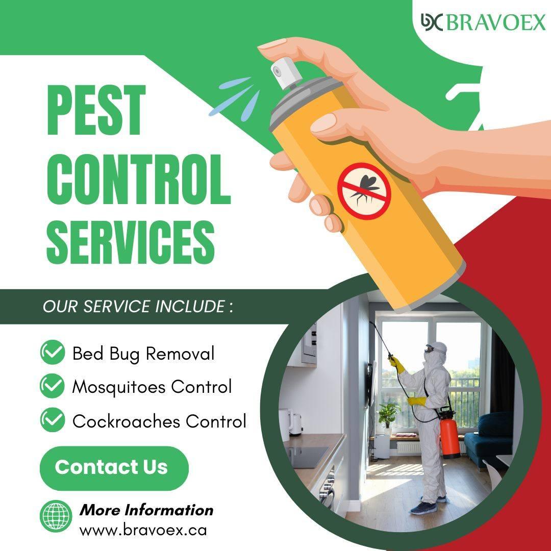 Pest Removal Company in Ottawa