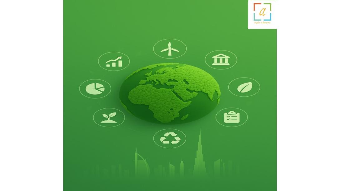 A comprehensive SEO friendly blog discussing how organisations benefit from the Top Sustainability and ESG Consulting Firm in UAE, along with professional Sustainability Consultancy in Dubai and Sustainability Consultancy in UAE. The article explains how expert guidance supports ESG reporting, sustainability planning, and long term business resilience.