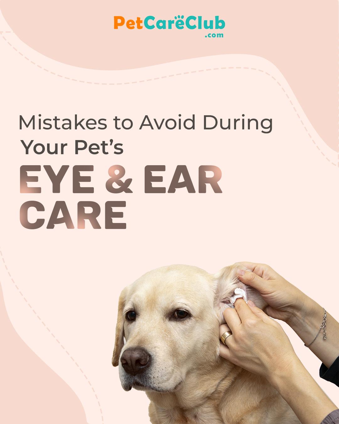 Mistakes to Avoid During Your Pet’s Eye & Ear Care