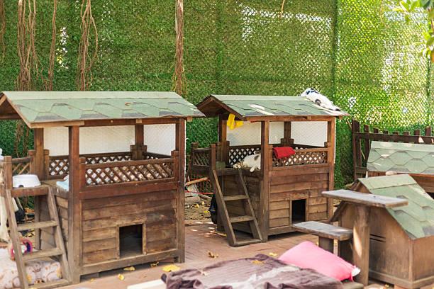 Dog Hostel in Bhubaneswar