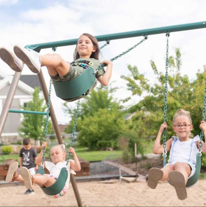 Lifetime deluxe swing sets