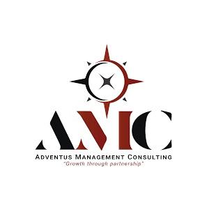 Management Consulting Company